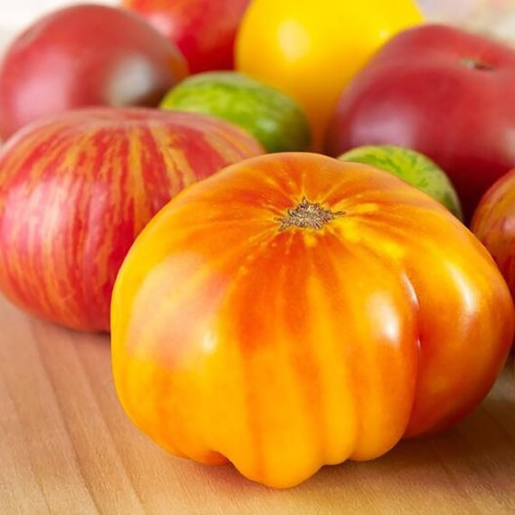 Tomato seeds Hillbilly - 10