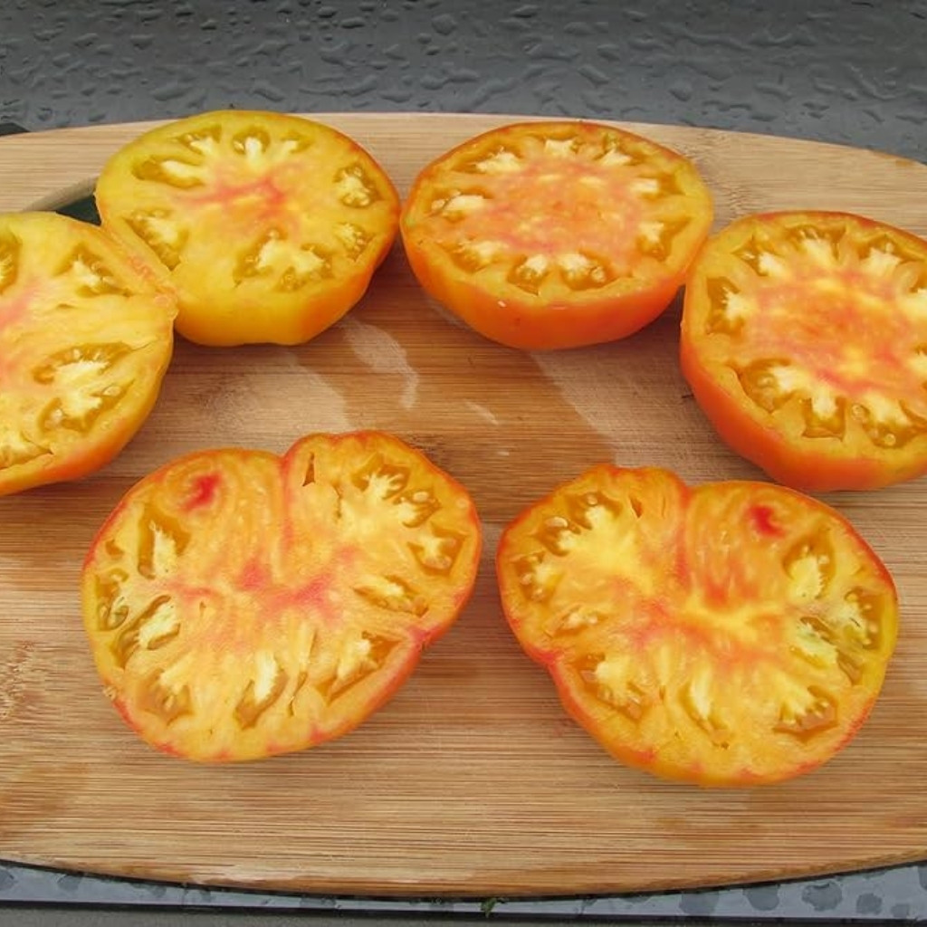 Tomato seeds Hillbilly - 10