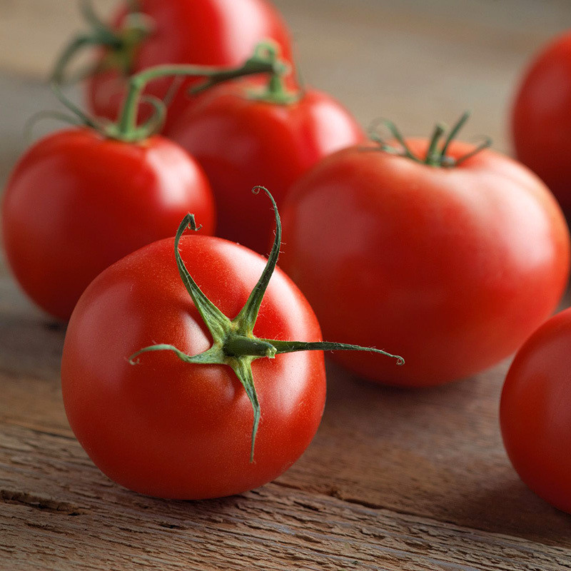 Tomato seeds Red S-22 - 600