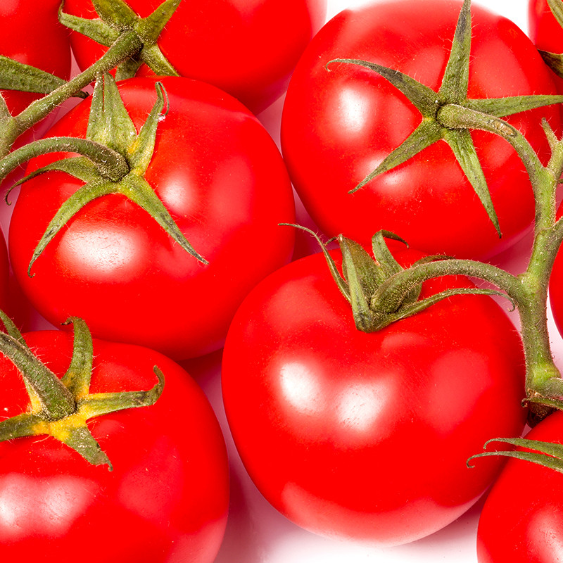 Tomato seeds Red S-22 - 600