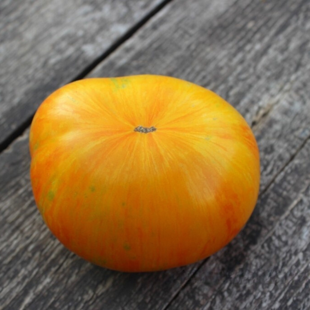 Tomato seeds Domaine de Saint Jean de beauregard - 10