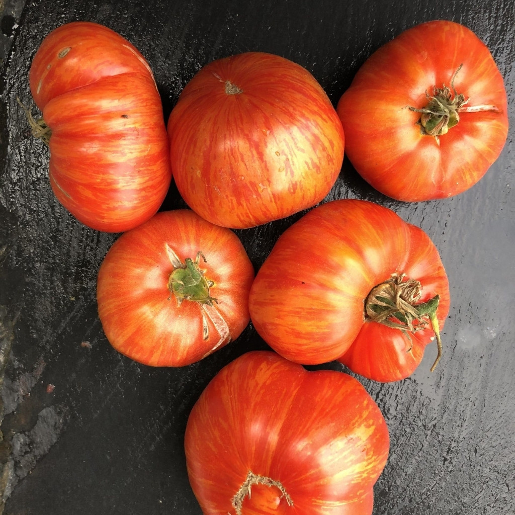 Tomato seeds Domaine de Saint Jean de beauregard - 10