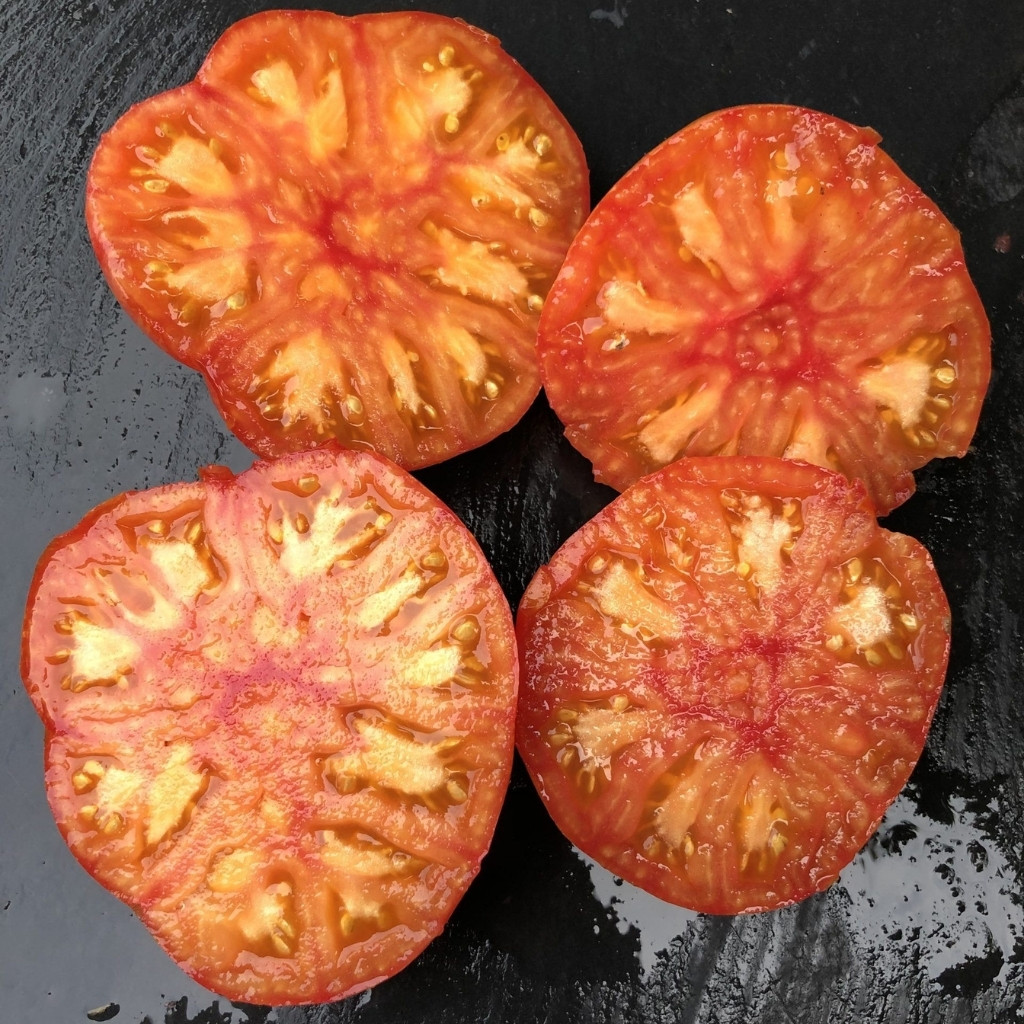 Tomato seeds Domaine de Saint Jean de beauregard - 10