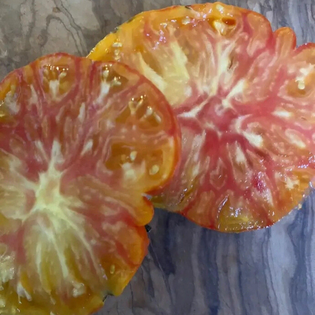 Tomato seeds Domaine de Saint Jean de beauregard - 10