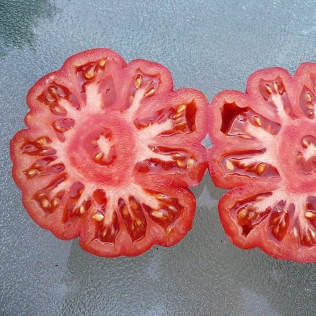 Tomato seeds Costoluto Genovese - 10