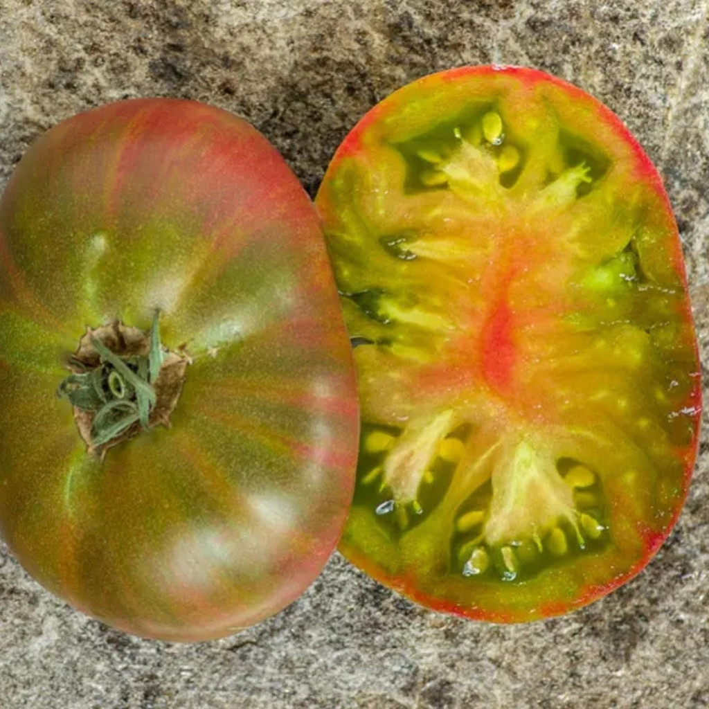 Tomato seeds Harvard Square - 10