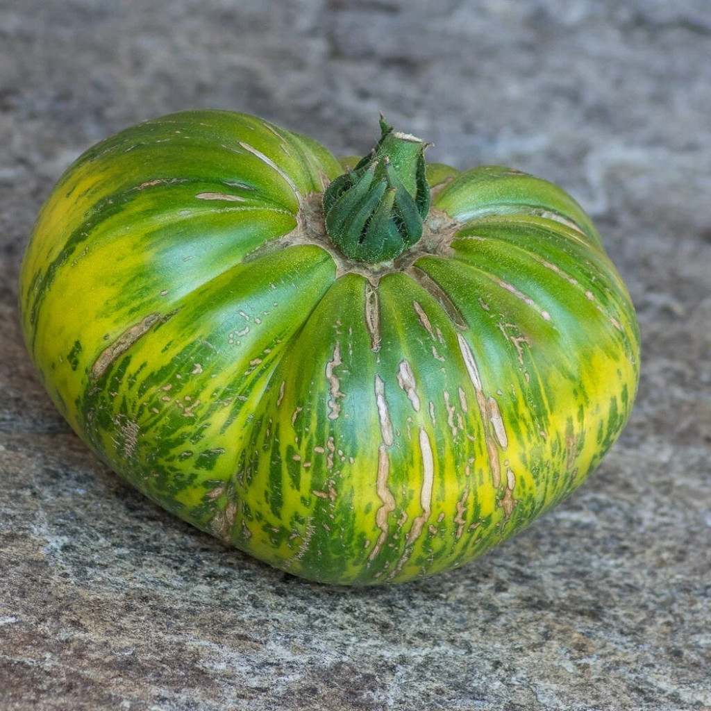 Tomato seeds Jarson 18 - 10