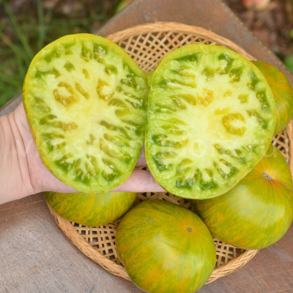 Tomato seeds Jarson 18 - 10