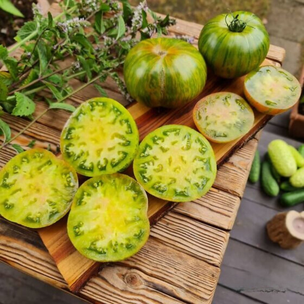 Tomato seeds Jarson 18 - 10