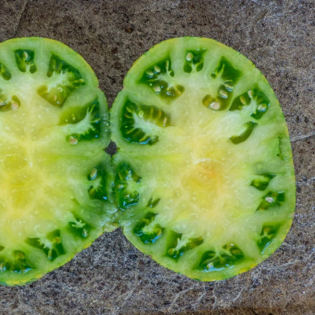 Tomato seeds Jarson 18 - 10