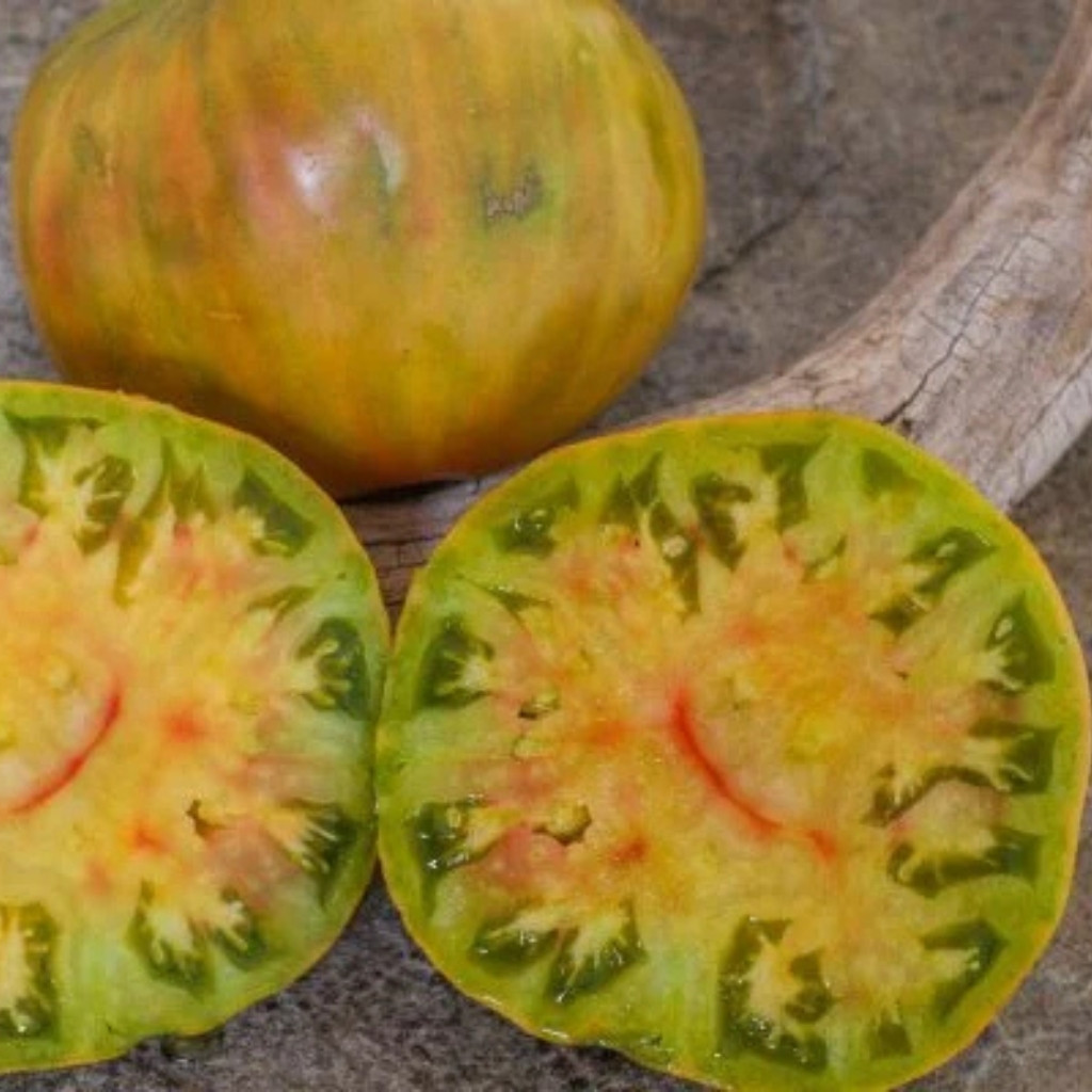 Tomato seeds Jarson 18 - 10