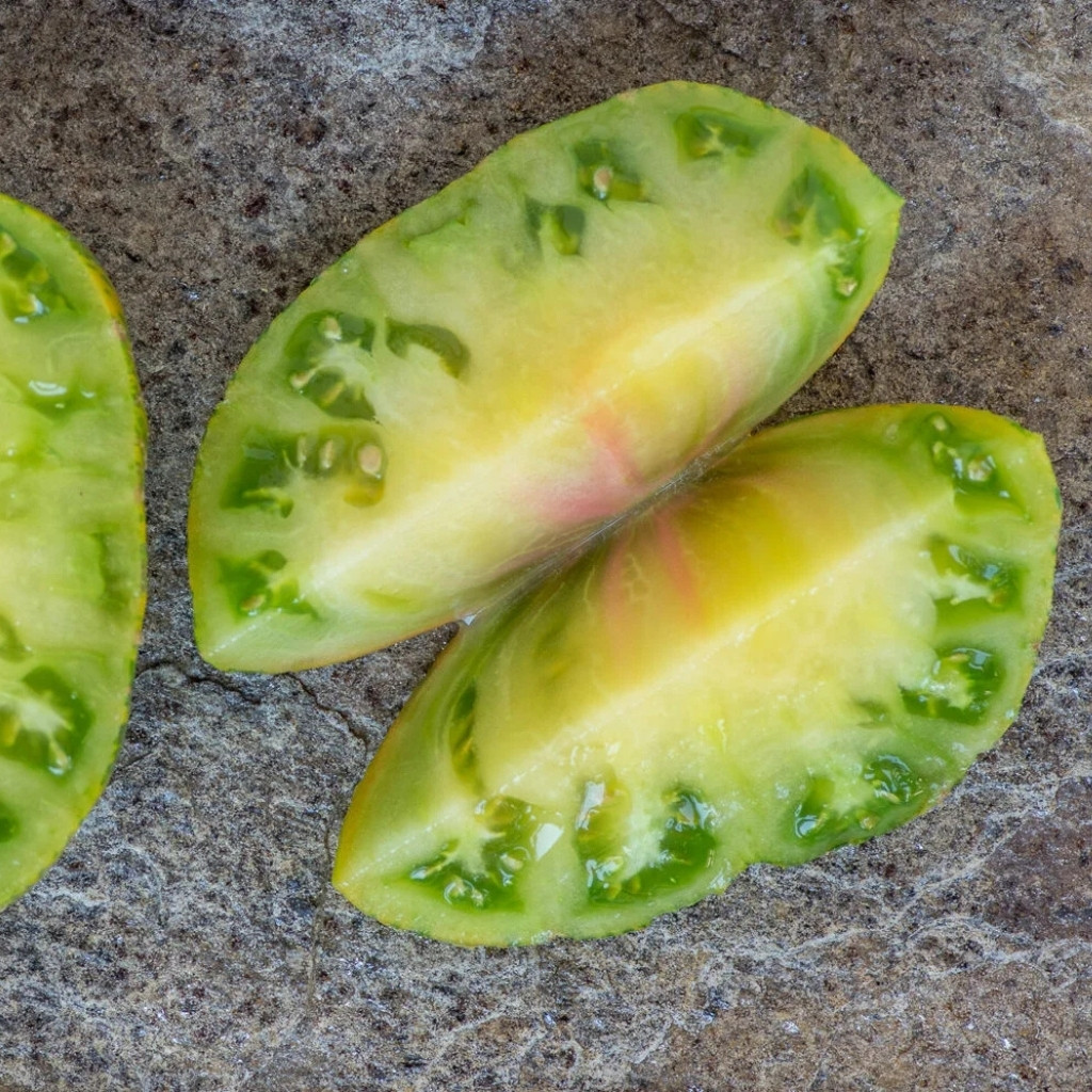 Tomato seeds Jarson 18 - 10
