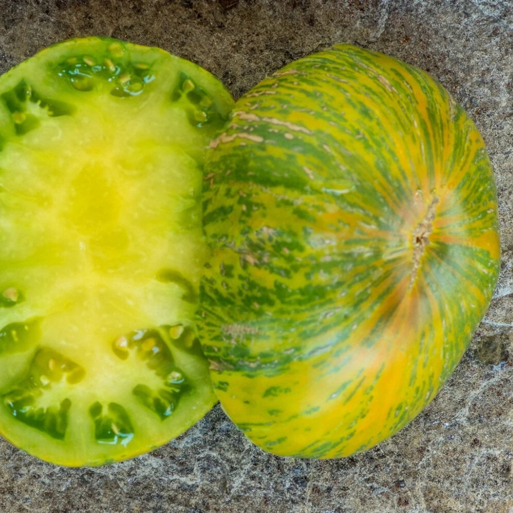 Tomato seeds Jarson 18 - 10