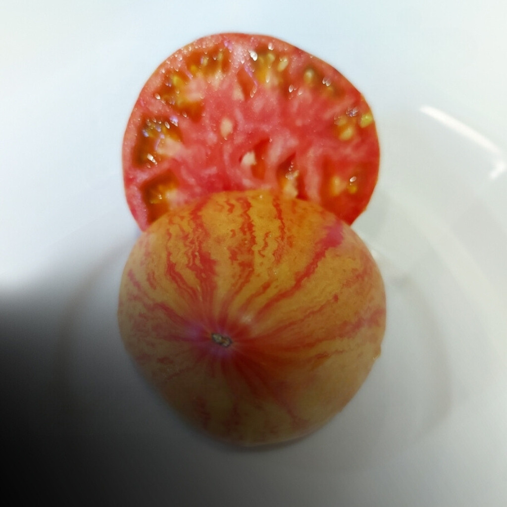 Tomato seeds Kozula 29 - 10