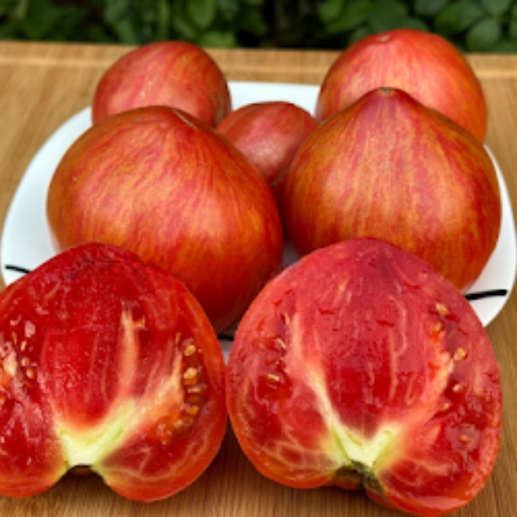 Tomato seeds Kozula 29 - 10
