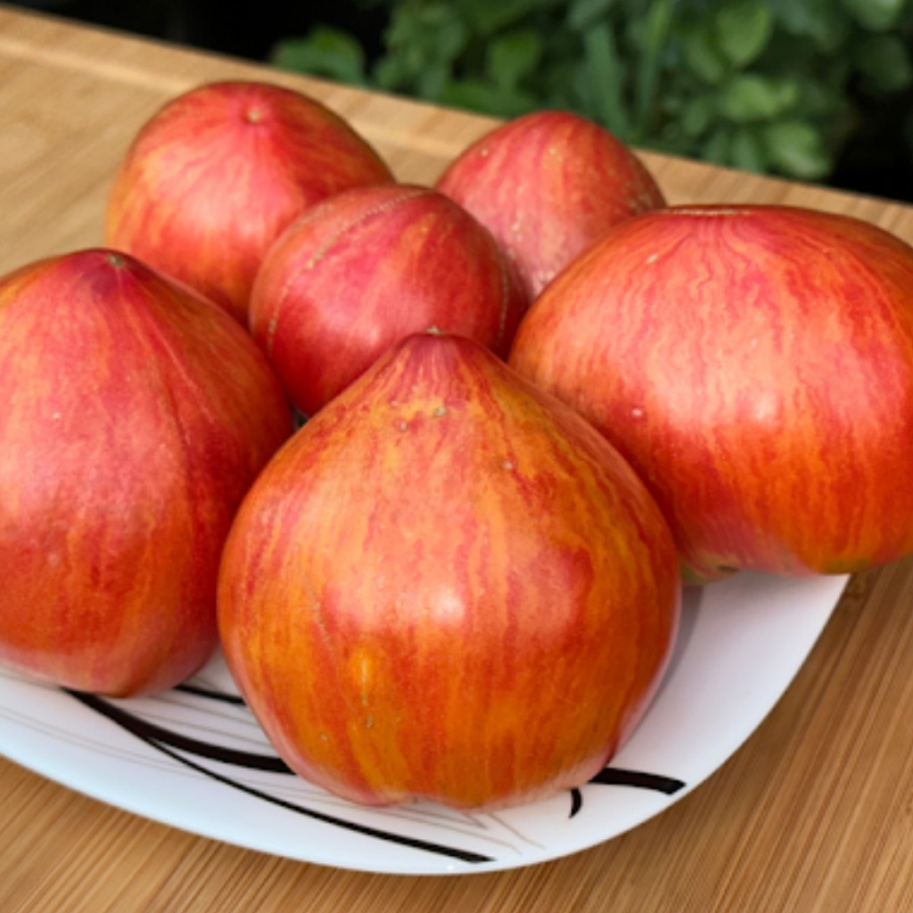 Tomato seeds Kozula 29 - 10