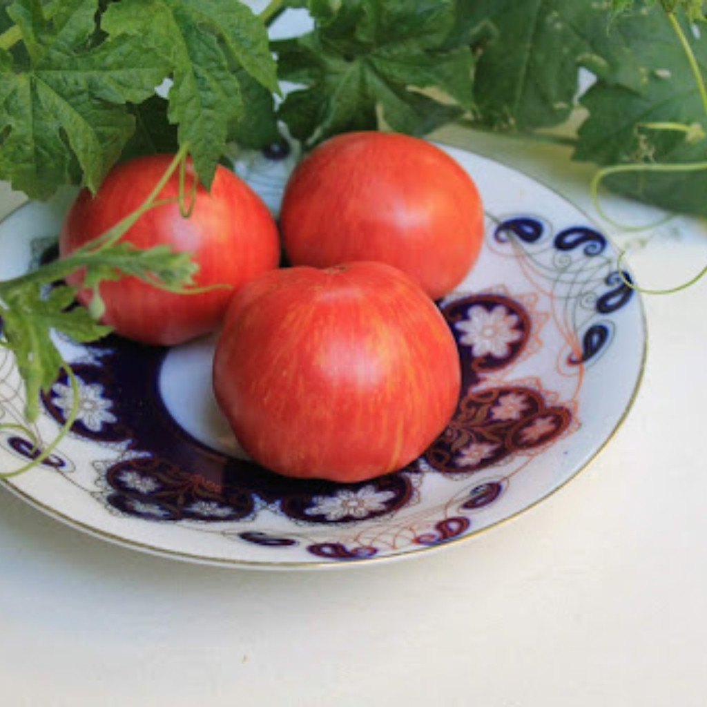 Tomato seeds Kozula 29 - 10