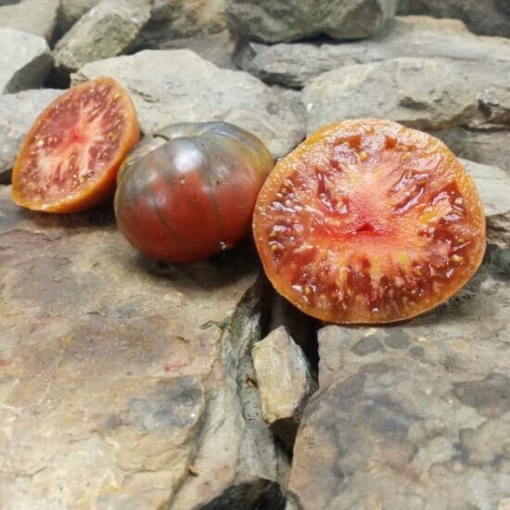 Tomato seeds Dwarf Maura’s Cardinal - 10