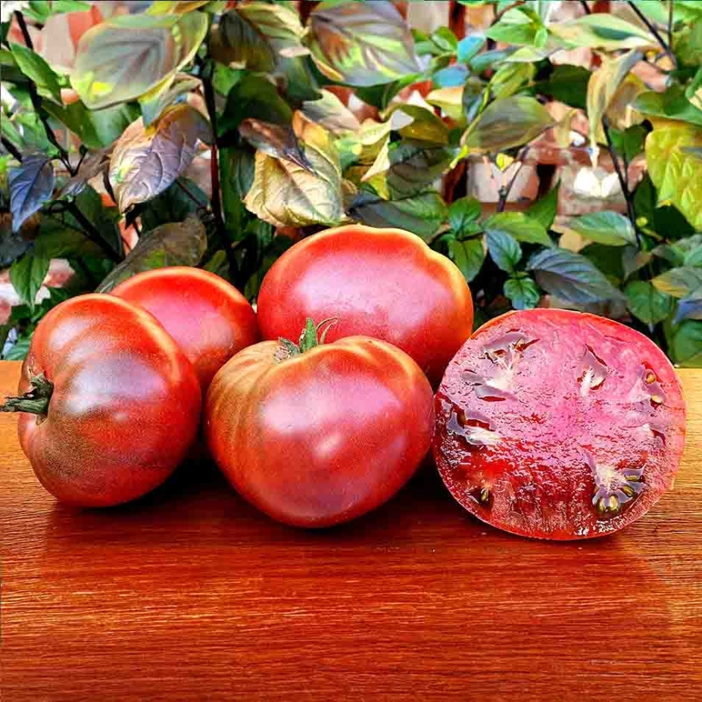 Tomato seeds Dwarf Maura’s Cardinal - 10