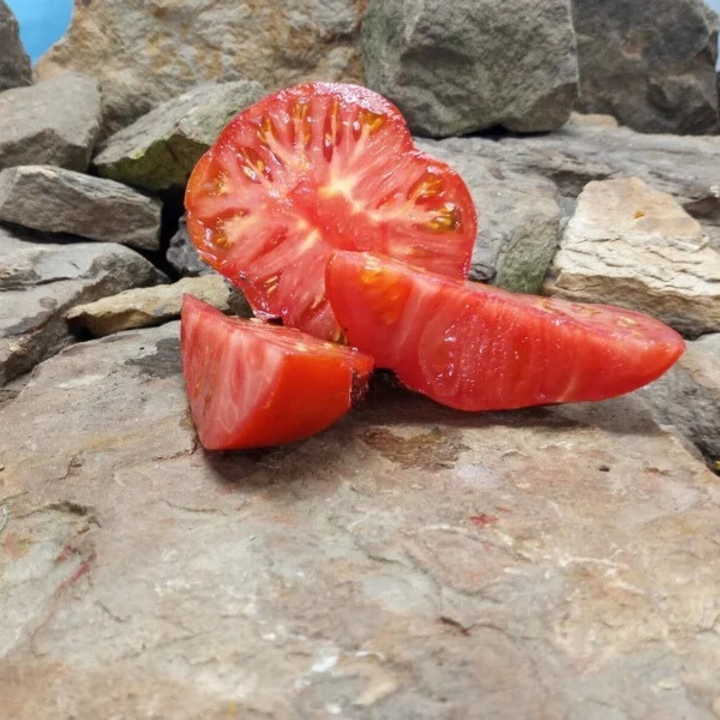 Tomato seeds Dwarf Maura’s Cardinal - 10