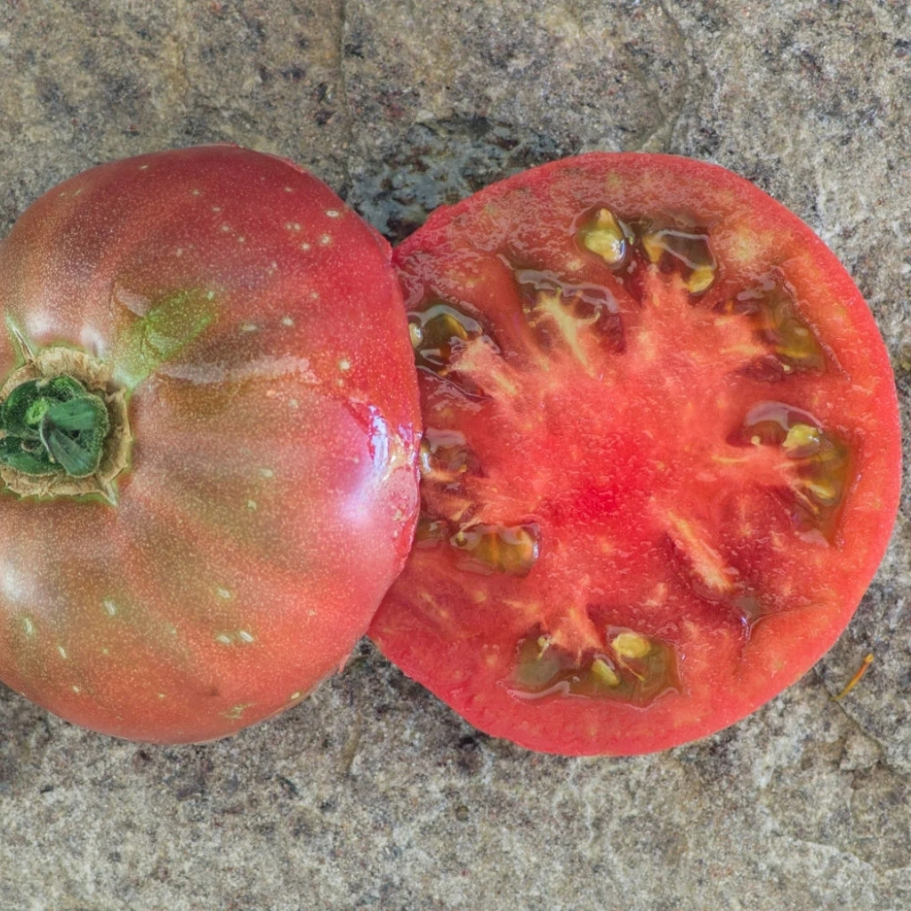 Tomato seeds Dwarf Maura’s Cardinal - 10
