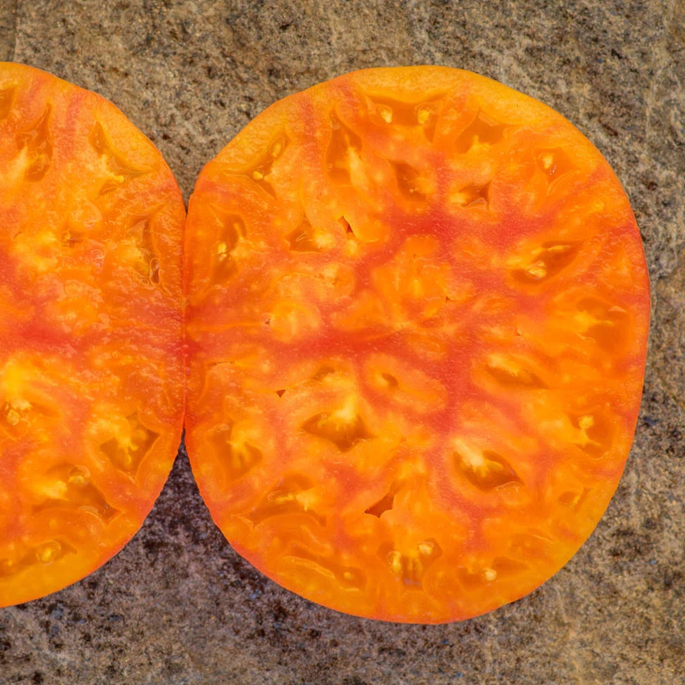 Tomato seeds Willard Wynn - 10