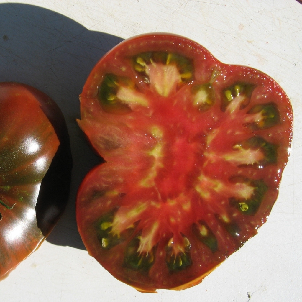 Tomato seeds Qingdao (Cindao, Tsindao) - 10