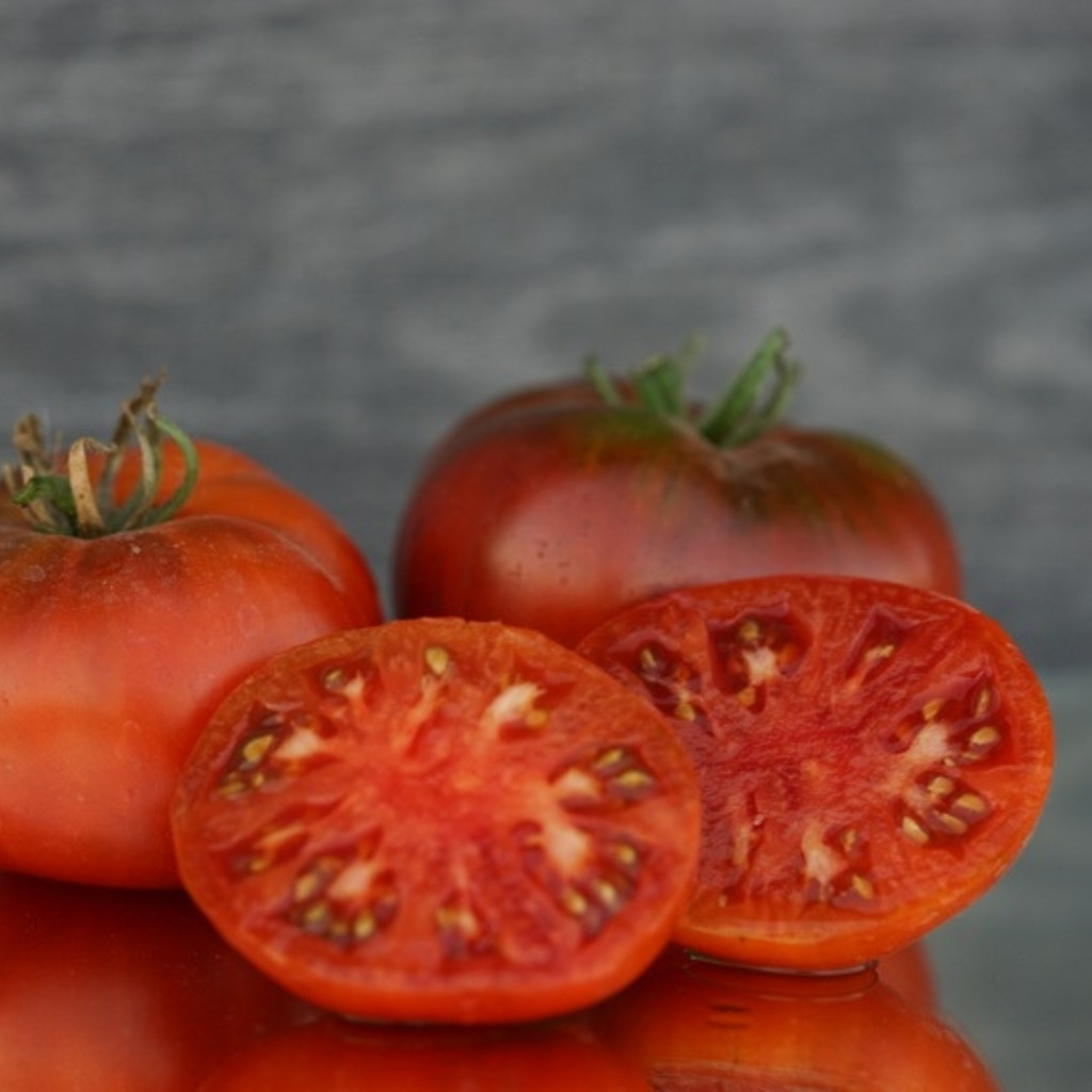Tomato seeds Qingdao (Cindao, Tsindao) - 10