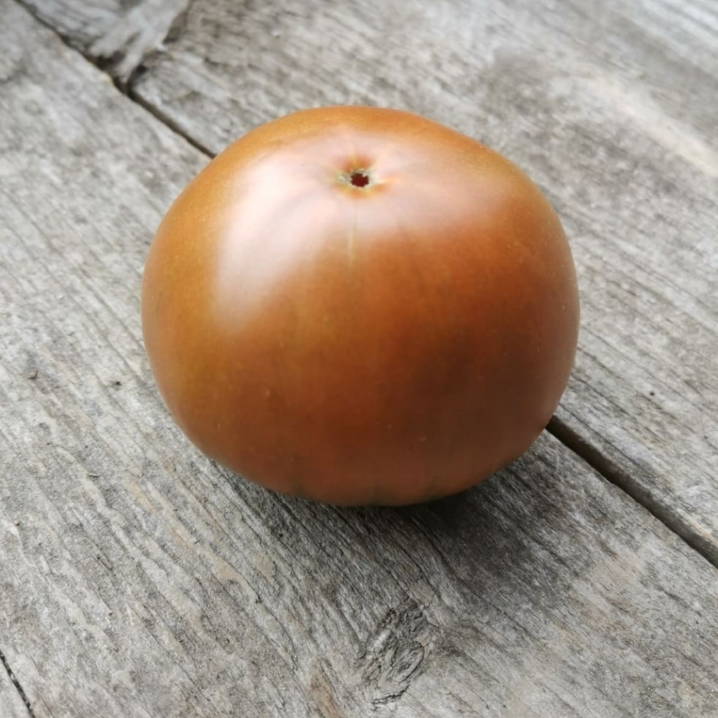 Tomato seeds Qingdao (Cindao, Tsindao) - 10