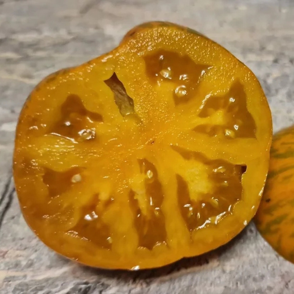 Tomato seeds Kozula 83 - 10