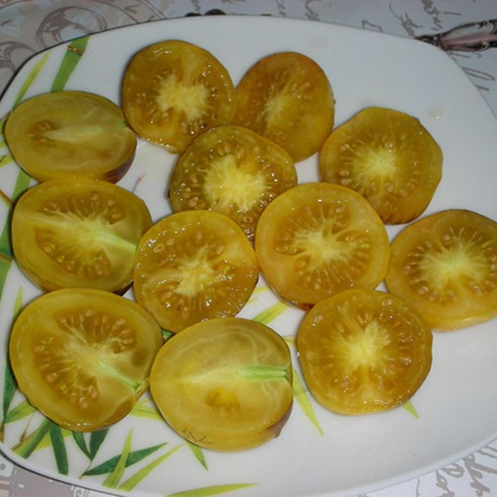 Tomato seeds Speckled Blue - 10