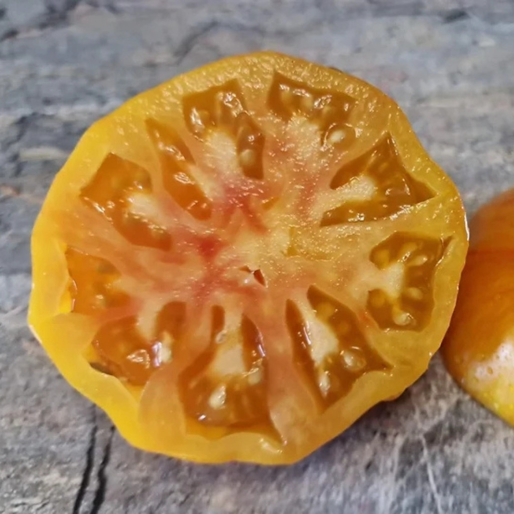 Tomato seeds Kozula 60 yellow slicer - 10