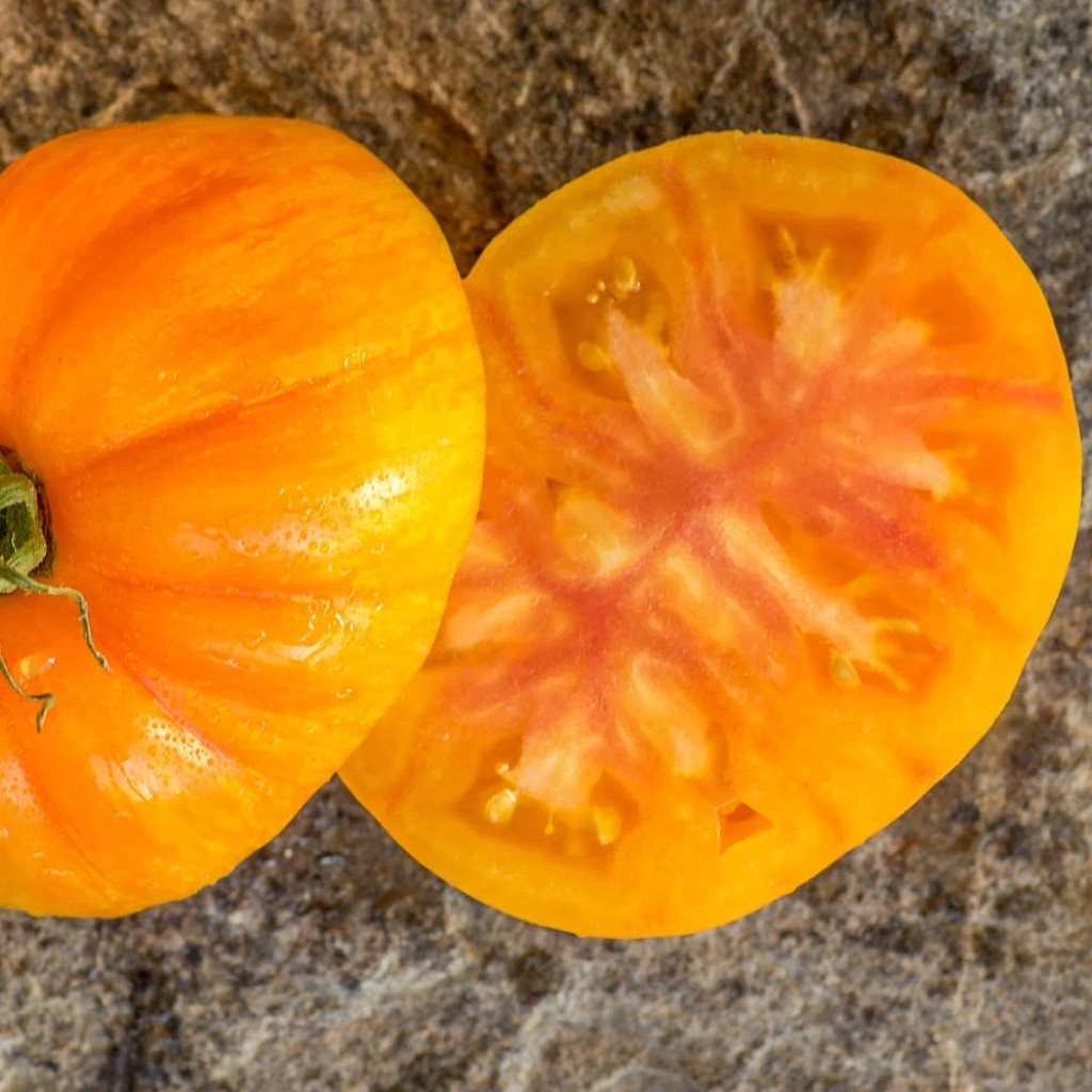 Tomato seeds Kozula 60 yellow slicer - 10