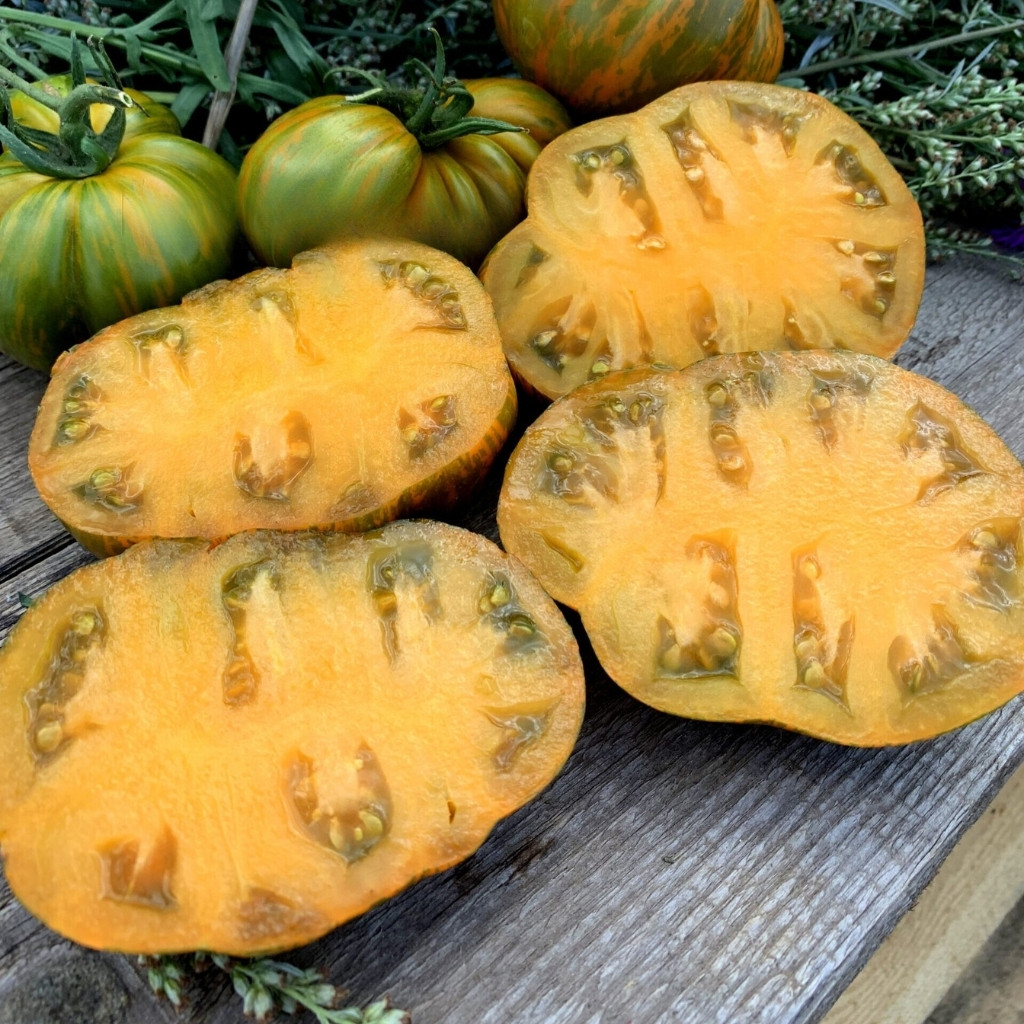 Tomato seeds Kozula 228 - 10
