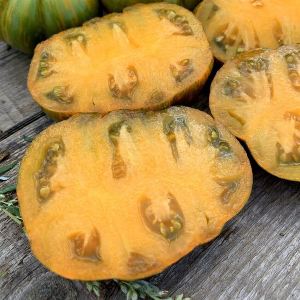 Tomato seeds Kozula 228 - 10