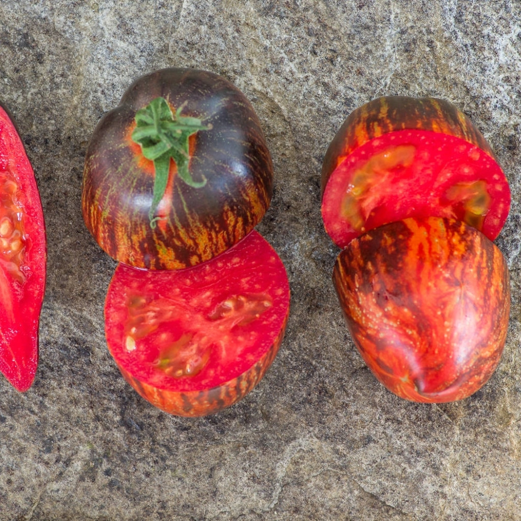 Tomato seeds Gargamel - 10