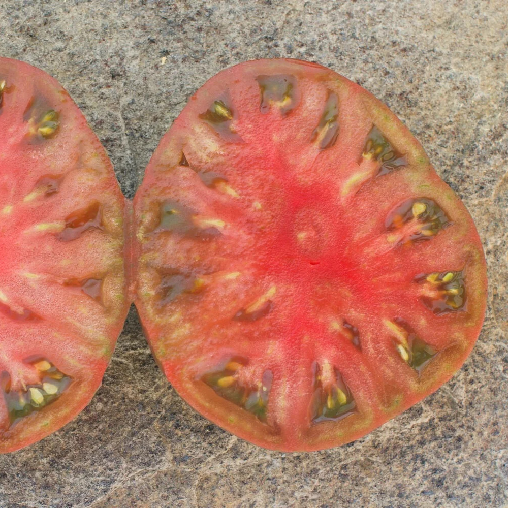 Tomato seeds Join or die (Belle du College) - 10
