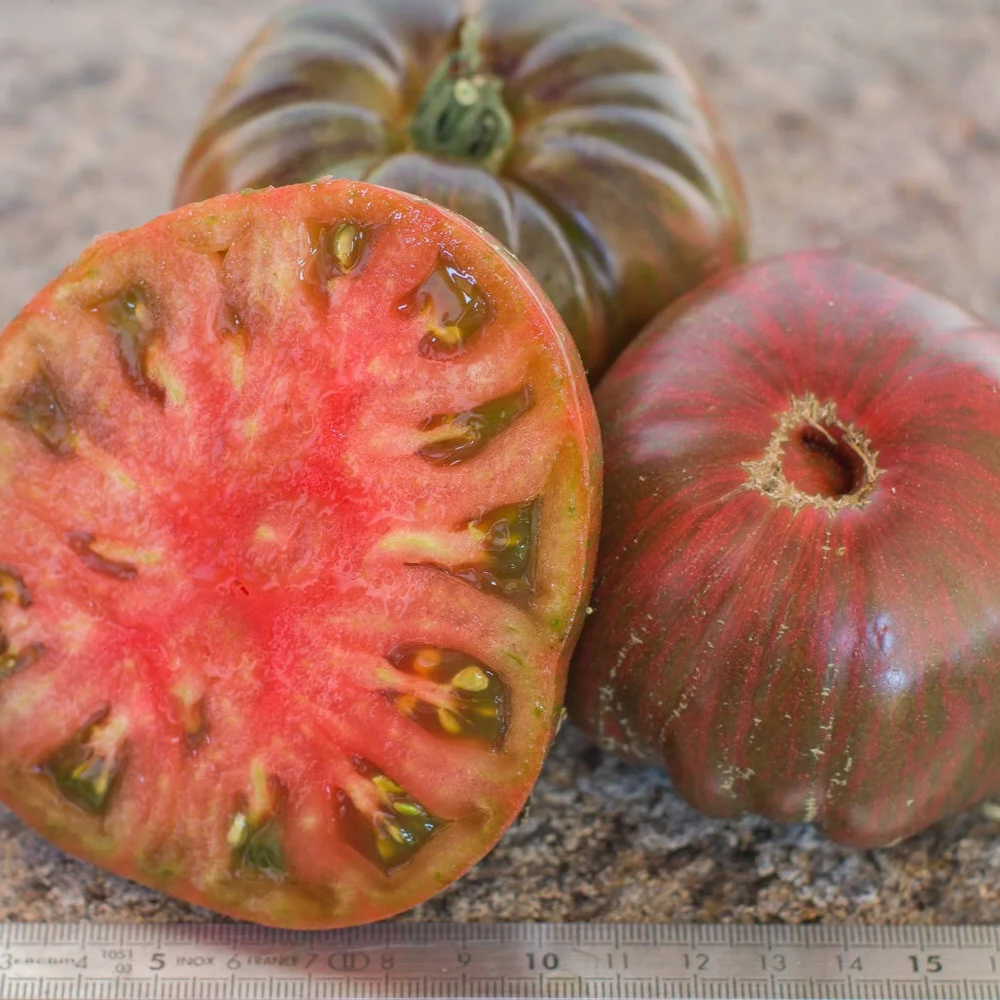 Tomato seeds Join or die (Belle du College) - 10