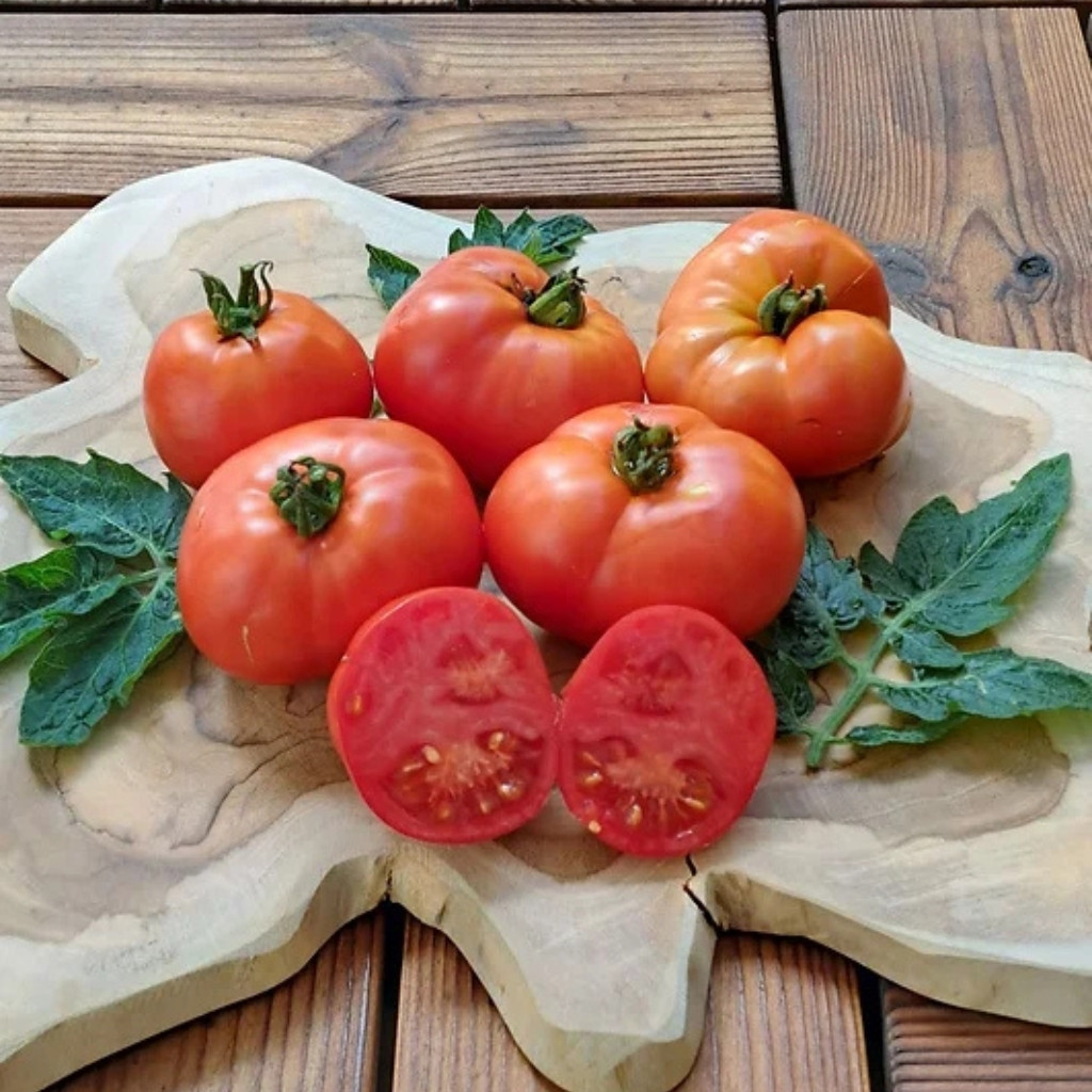 Tomato seeds Mongolian Dwarf - 10