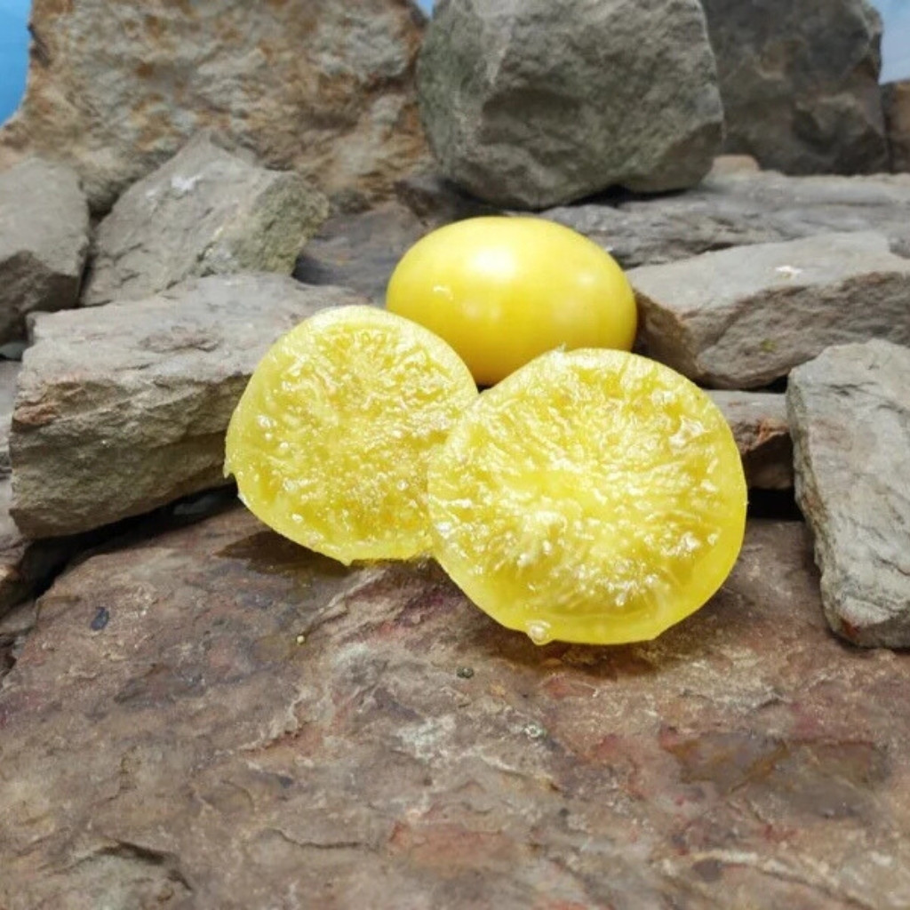 Tomato seeds Dwarf CC McGee - 10