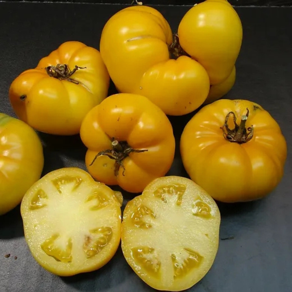 Tomato seeds Dwarf CC McGee - 10
