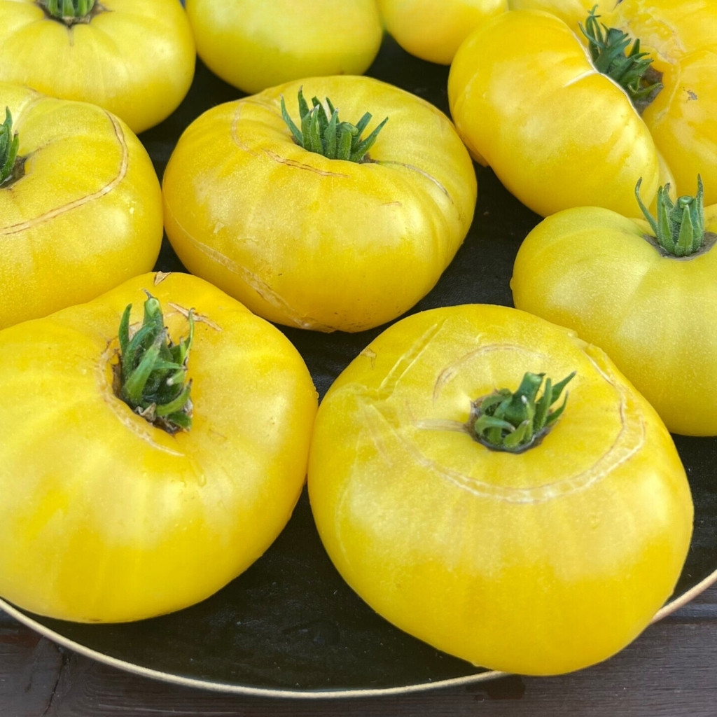 Tomato seeds Dwarf CC McGee - 10