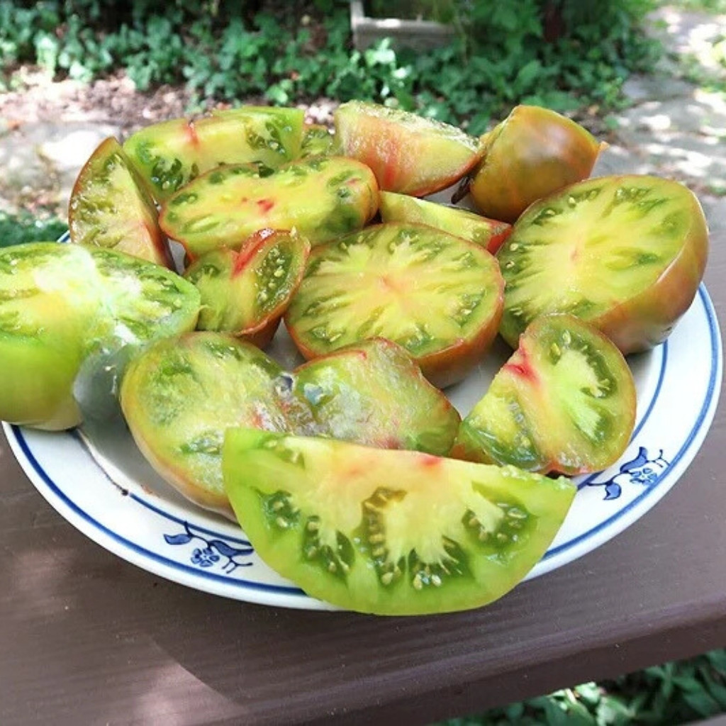 Tomato seeds Kozula 72 - 10