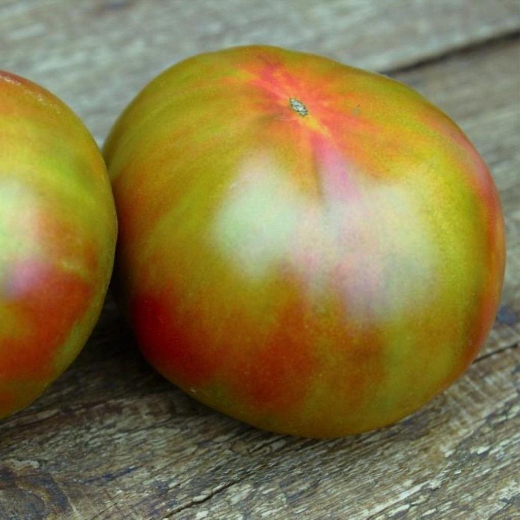 Tomato seeds Kozula 72 - 10