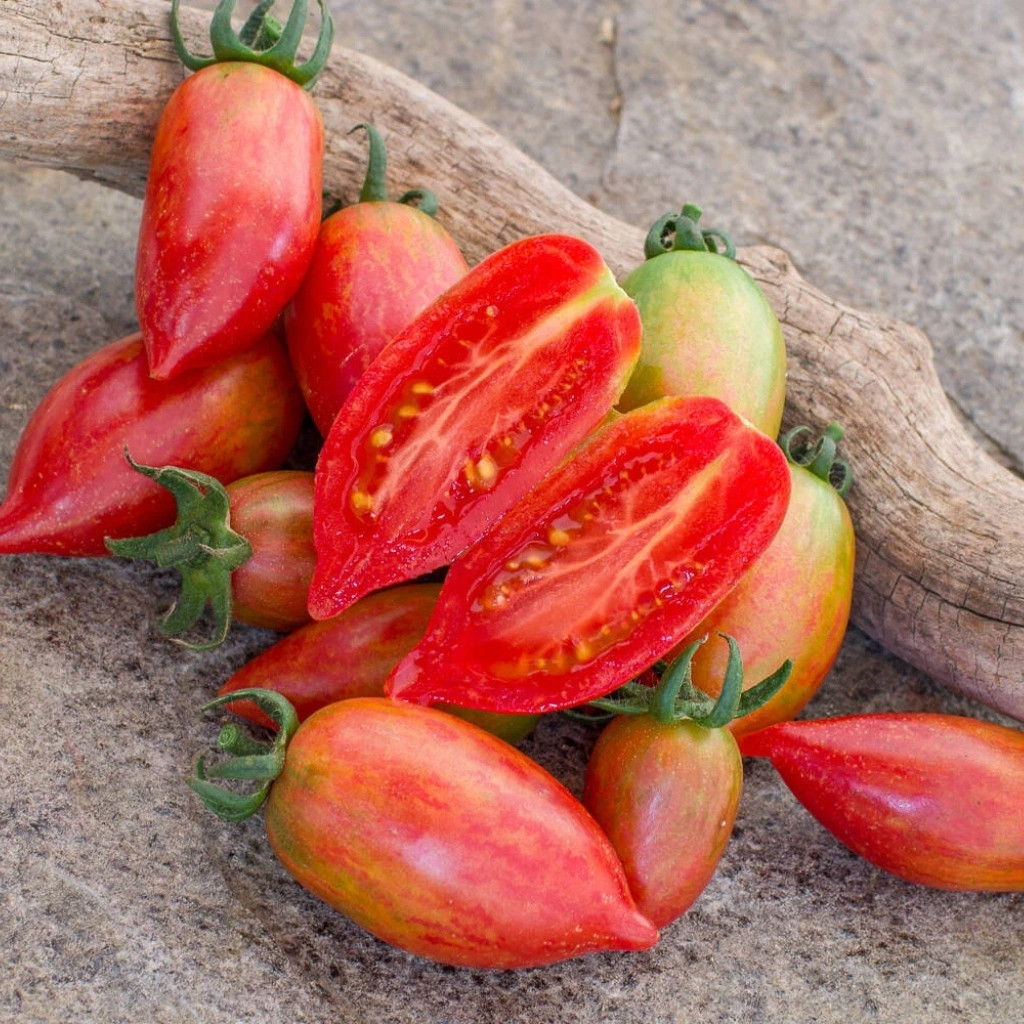 Tomato seeds lollipop sweet icicle - 10