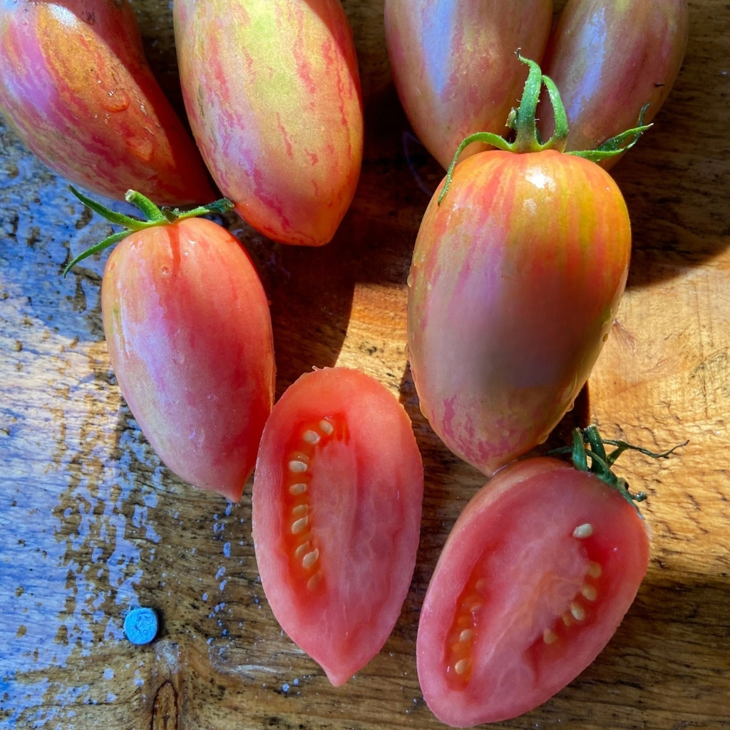 Tomato seeds lollipop sweet icicle - 10