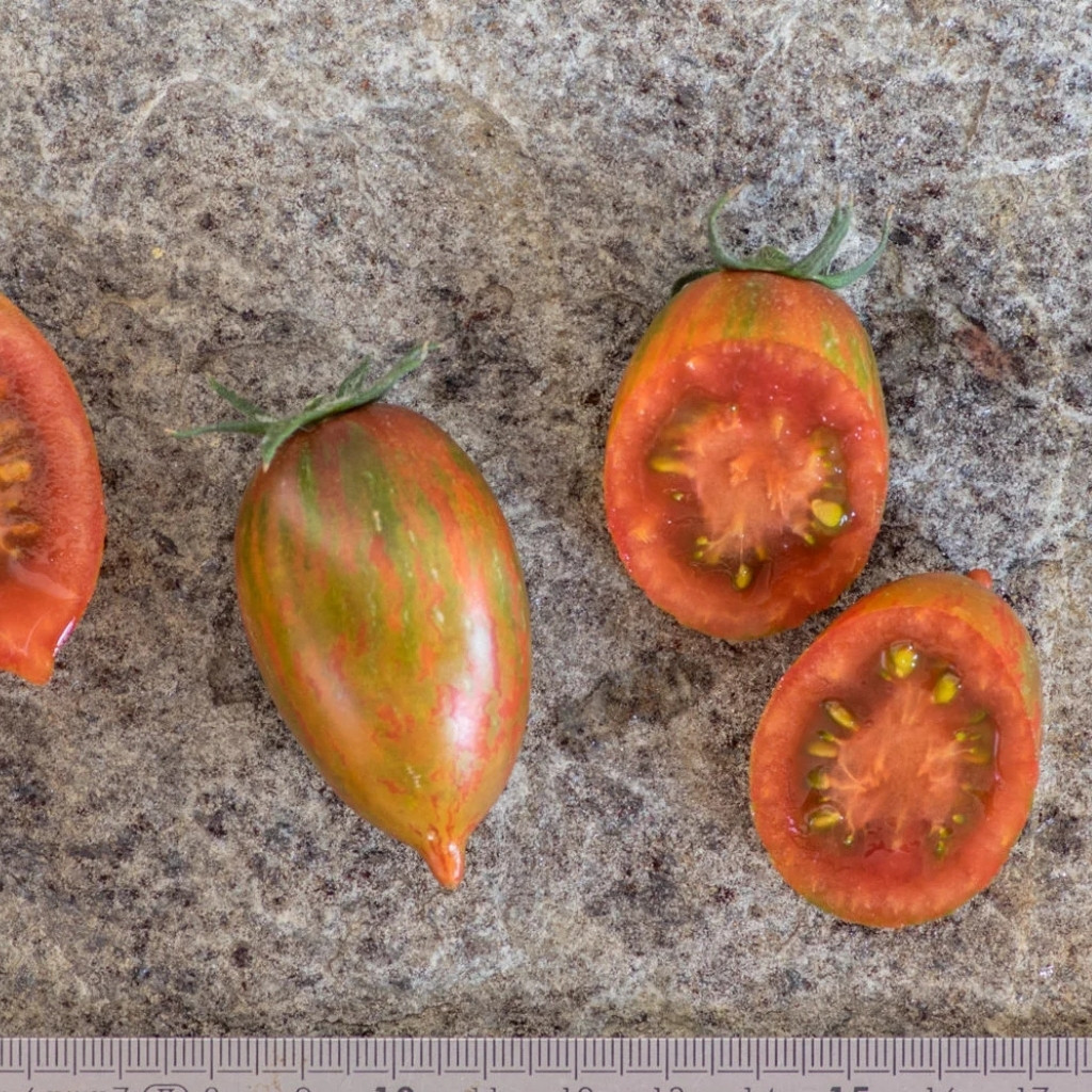 Tomato seeds lollipop sweet icicle - 10