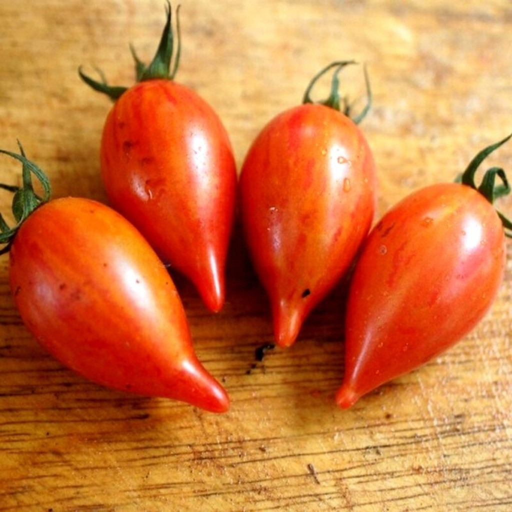 Tomato seeds lollipop sweet icicle - 10