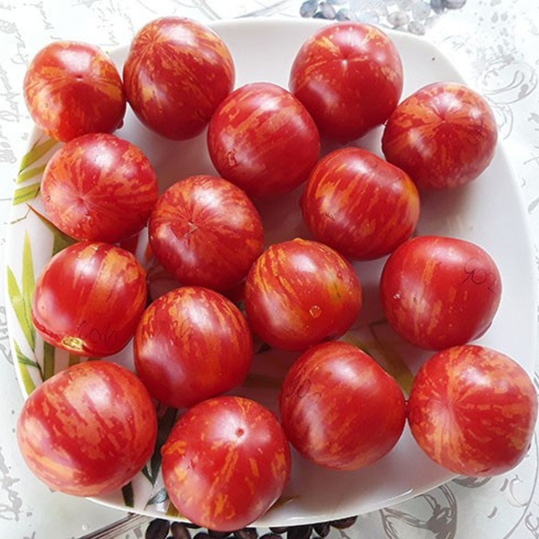 Tomato Seeds Strawberry Tiger, Tigerella - 10