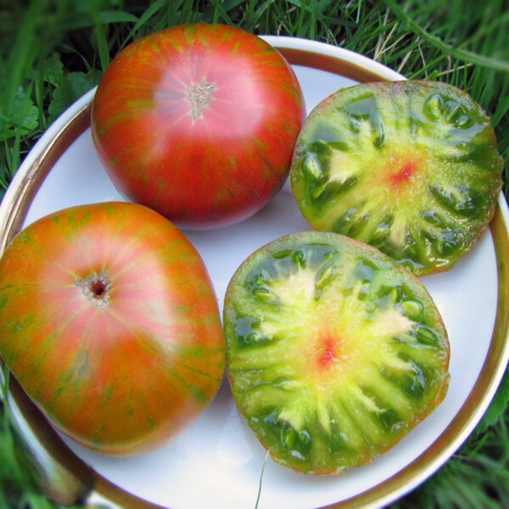 Tomato seeds gnome pit viper - 10
